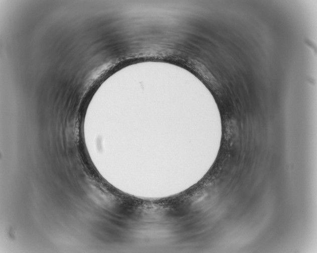 X0000095910632200802011151