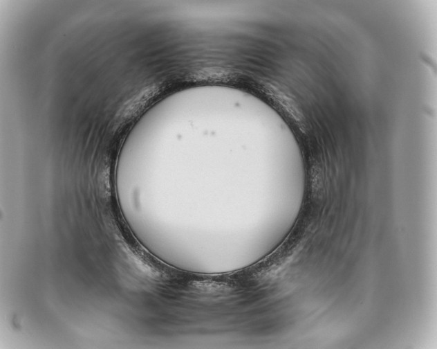 X0000095910633200802011151