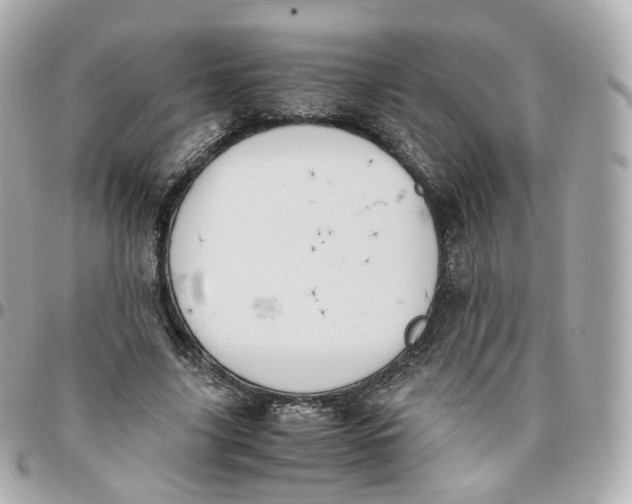 X0000095910635200802011151