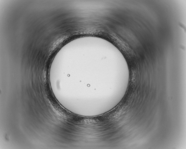 X0000095910636200802011151