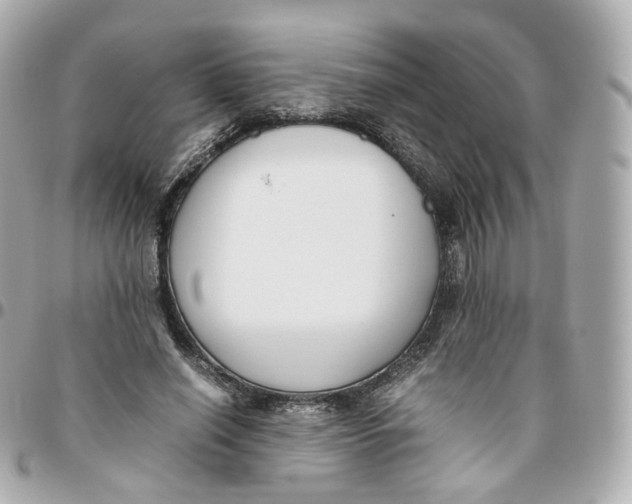 X0000095910638200802011151