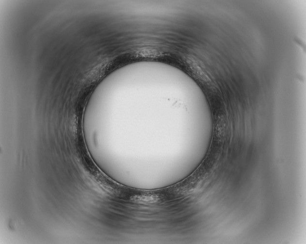 X0000095910639200802011151