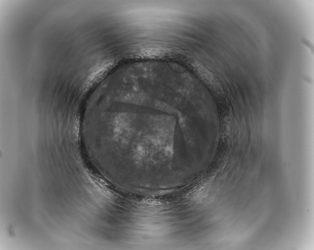 X0000095910640200802011151