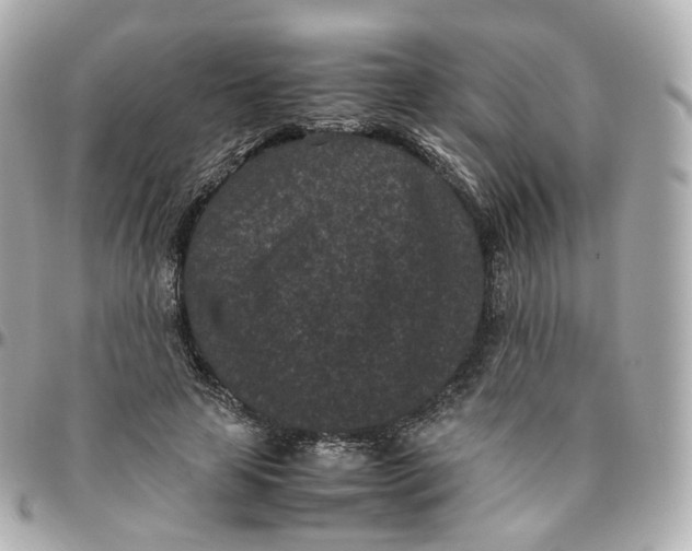 X0000095910641200802011151