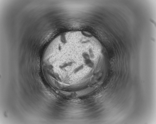 X0000095910642200802011151