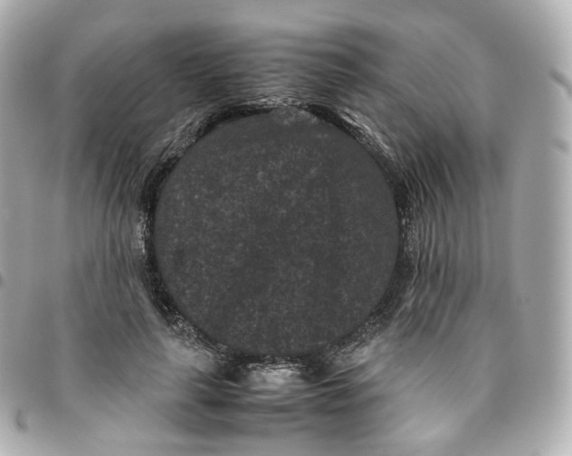 X0000095910643200802011151