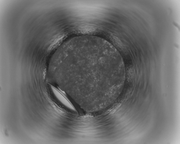 X0000095910644200802011151