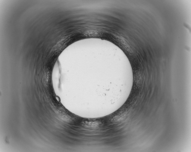 X0000095910645200802011151