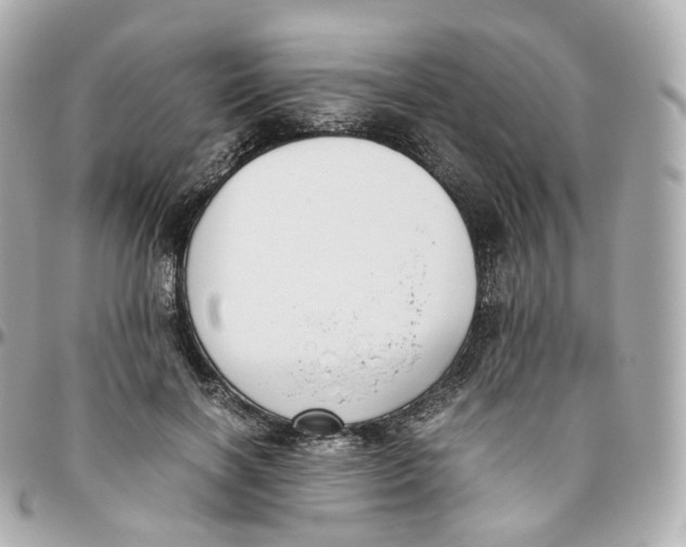 X0000095910646200802011151