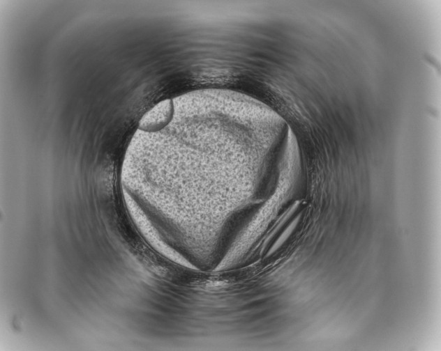 X0000095910647200802011151