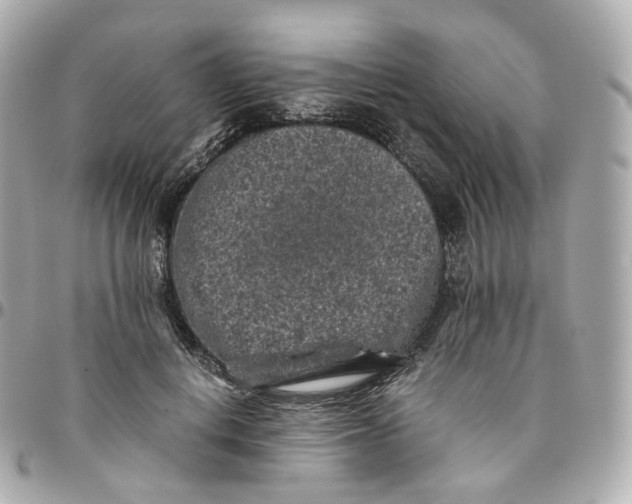 X0000095910648200802011151