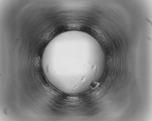 X0000095910649200802011151