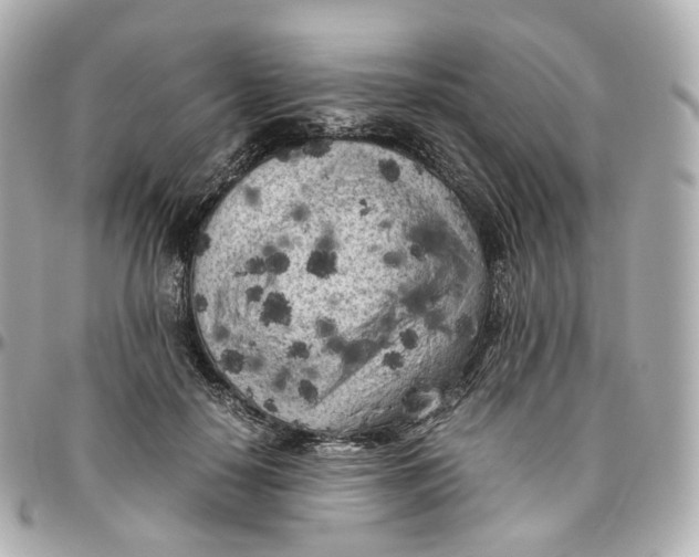 X0000095910650200802011151