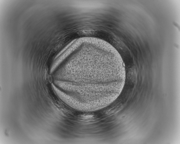 X0000095910651200802011151