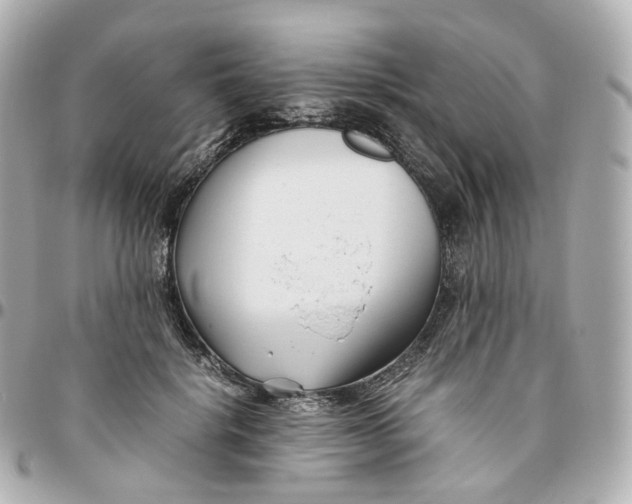 X0000095910652200802011151