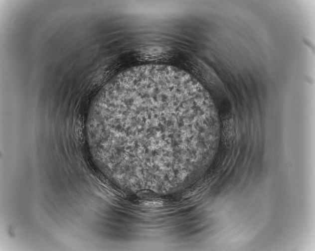 X0000095910653200802011151