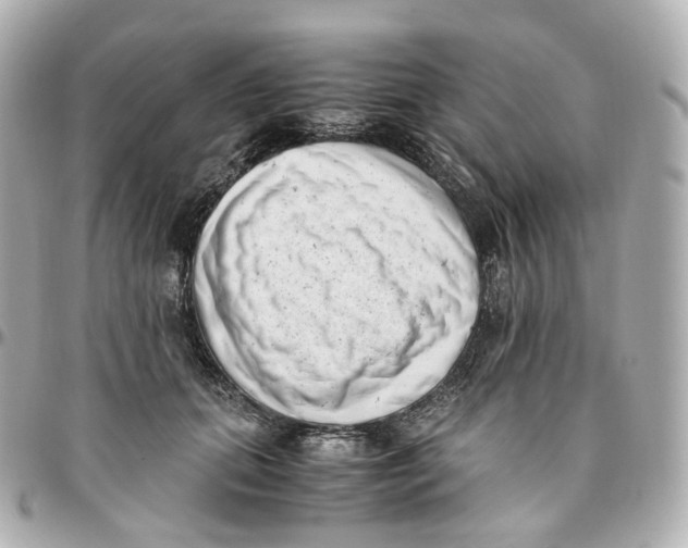 X0000095910655200802011152