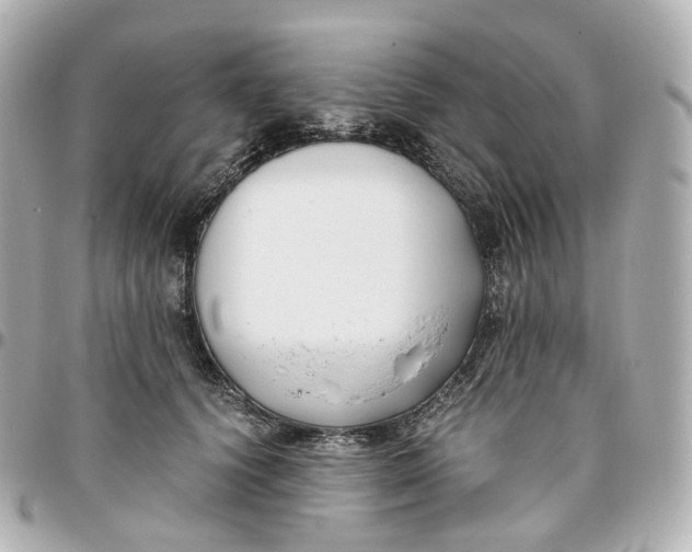 X0000095910656200802011152