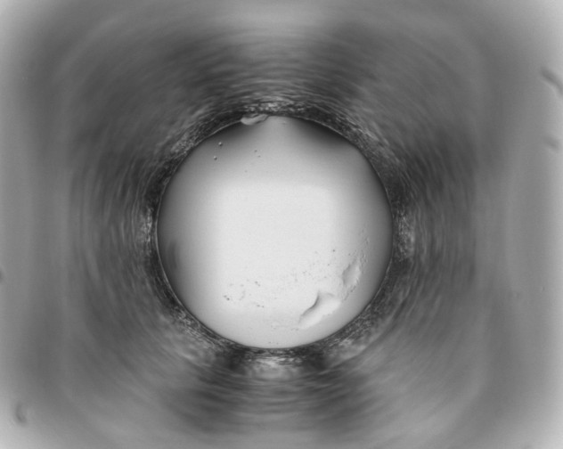 X0000095910657200802011152