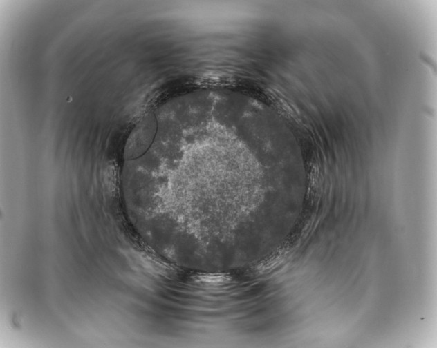 X0000095910659200802011152