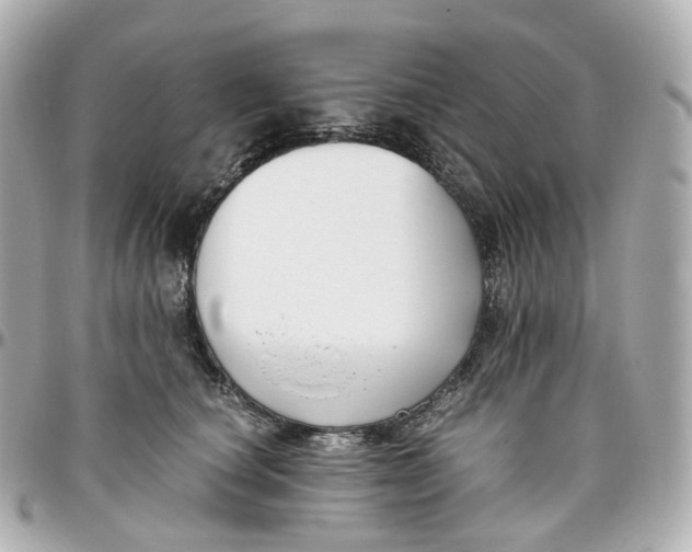 X0000095910660200802011152