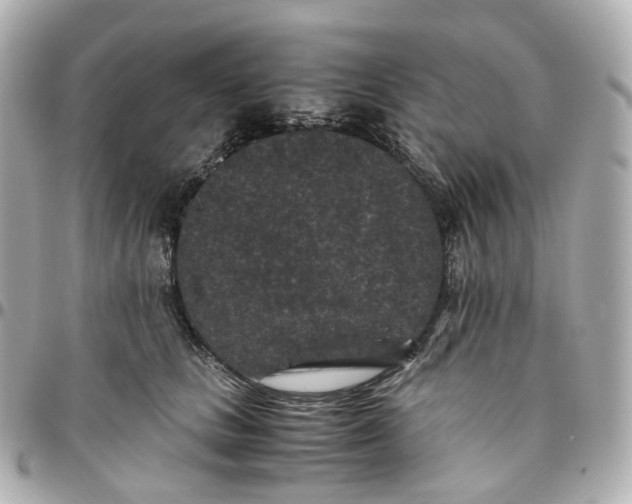 X0000095910661200802011152