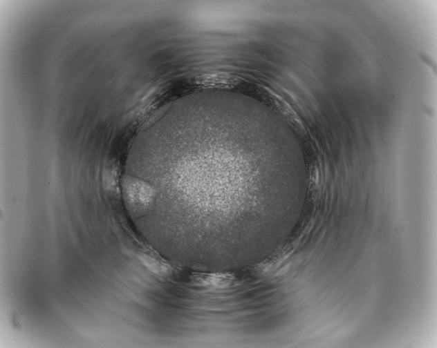 X0000095910663200802011152