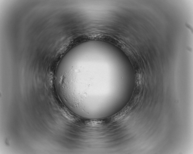 X0000095910664200802011152