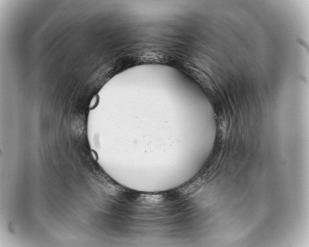 X0000095910665200802011152