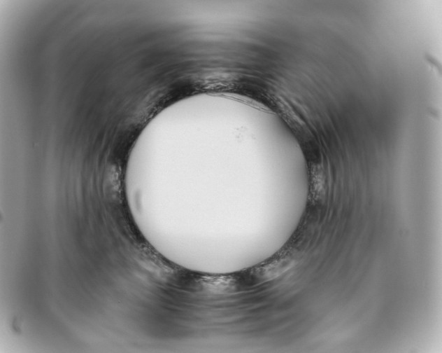 X0000095910667200802011152