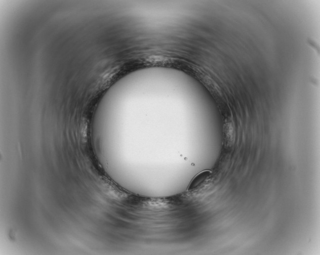 X0000095910668200802011152