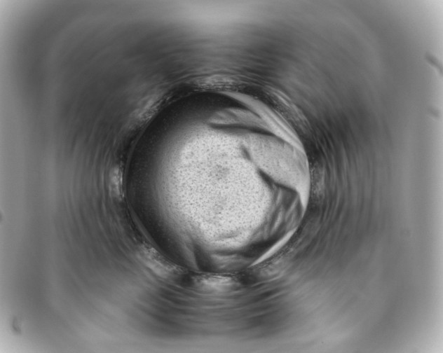 X0000095910669200802011152