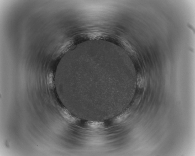 X0000095910670200802011152