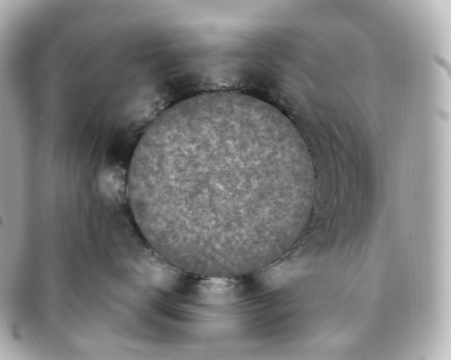 X0000095910672200802011152