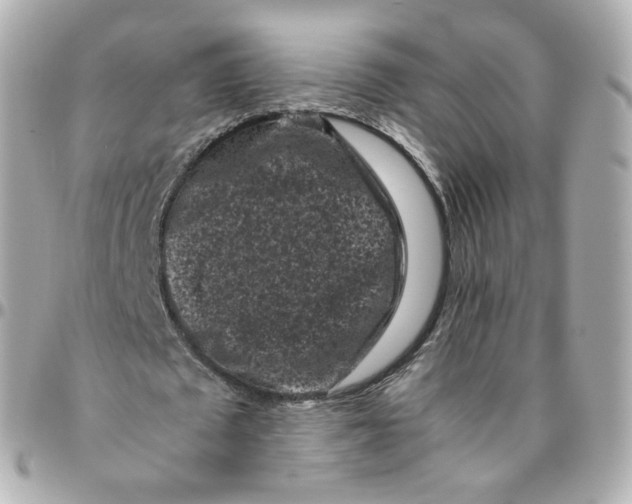 X0000095910673200802011151