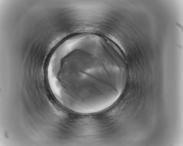 X0000095910674200802011151