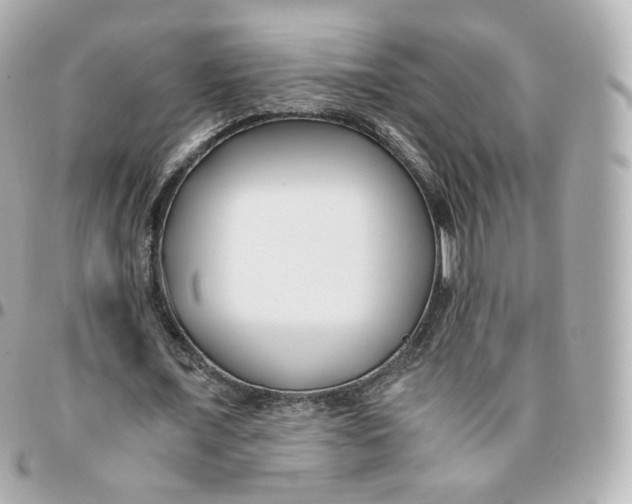 X0000095910675200802011151