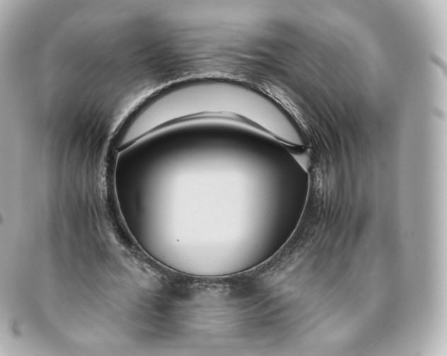 X0000095910676200802011151