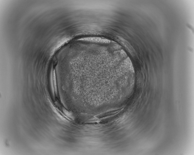 X0000095910677200802011151