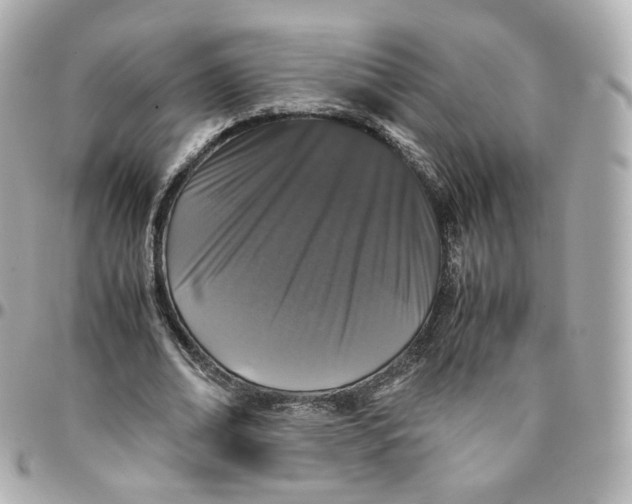 X0000095910678200802011151