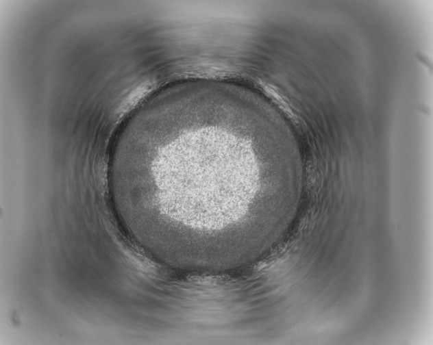 X0000095910679200802011151