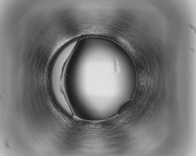 X0000095910680200802011151