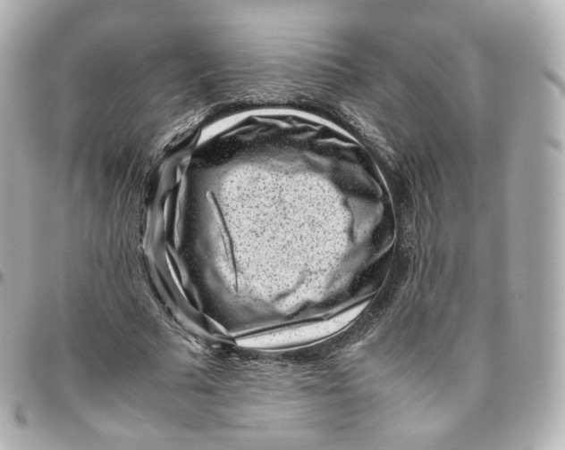 X0000095910681200802011151