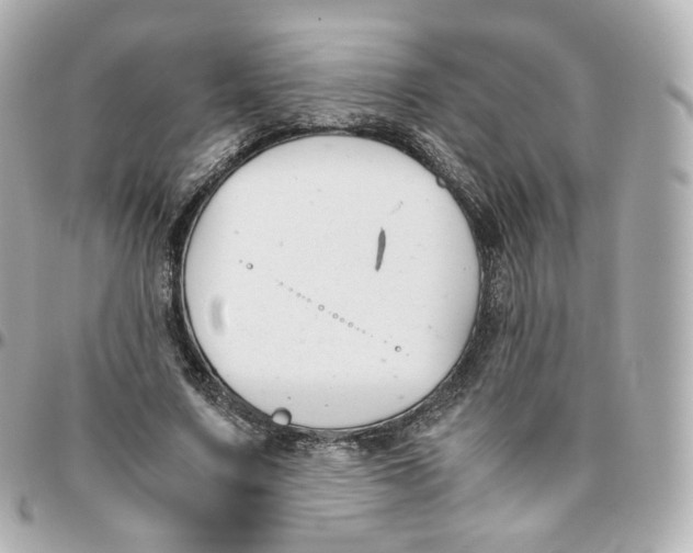 X0000095910683200802011151