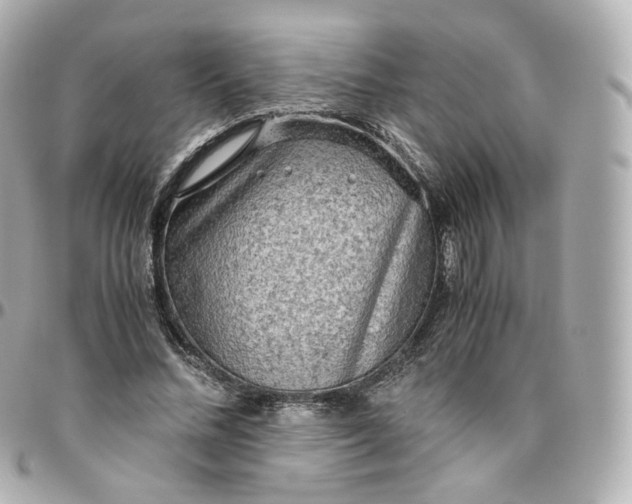 X0000095910684200802011151