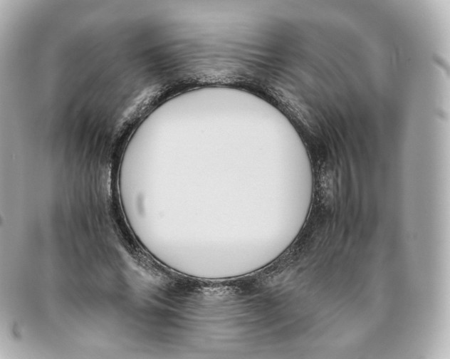 X0000095910686200802011151