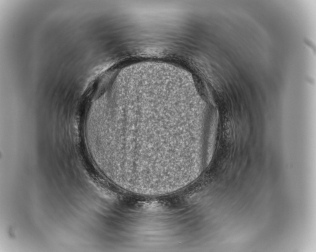 X0000095910688200802011151