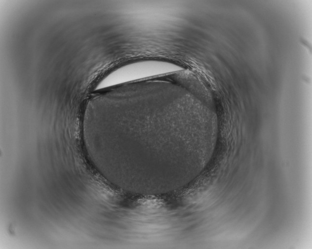 X0000095910689200802011151