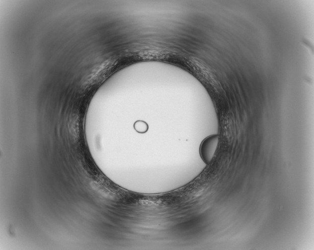 X0000095910690200802011151