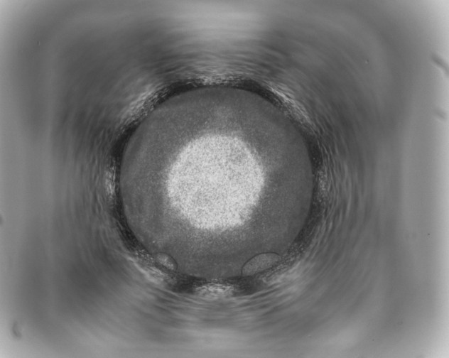 X0000095910691200802011151